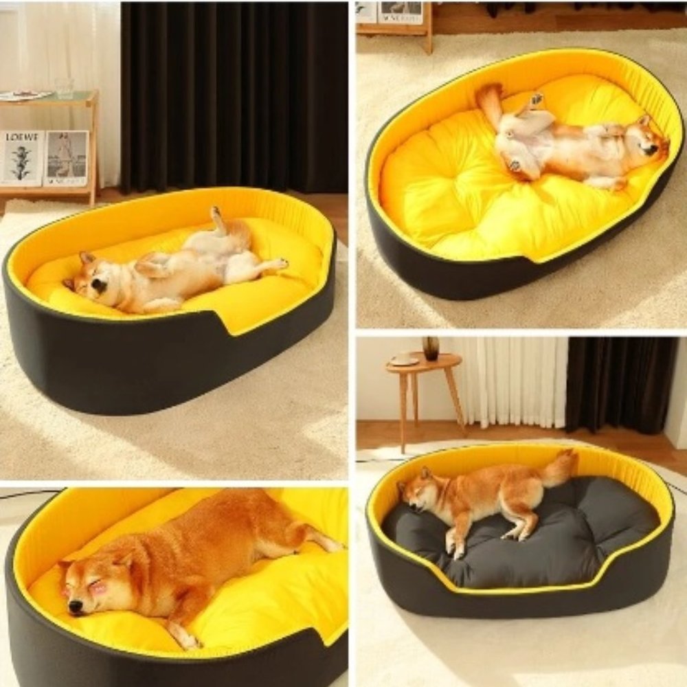 Waterproof Pet Beds for Dogs & Cats
